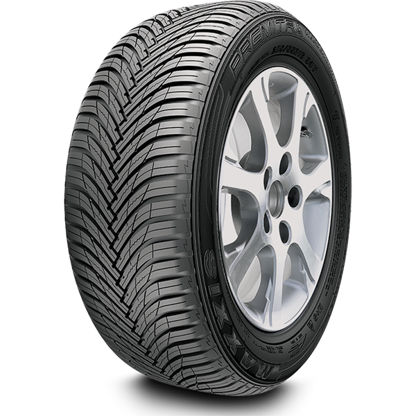 Автошина R18 255/40R18 Maxxis Premitra All-Season AP3 99W